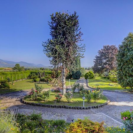Villa Luce-Casa Vacanza Con Vista Panoramica Mare. Velletri Εξωτερικό φωτογραφία